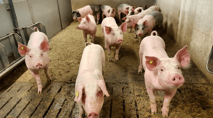 Screenshot_2016-04-03-22-40-21-1