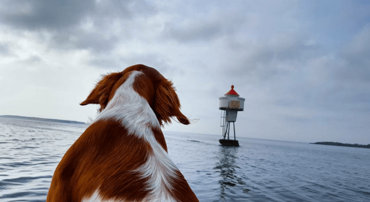 Screenshot_2016-04-04-18-31-38-1