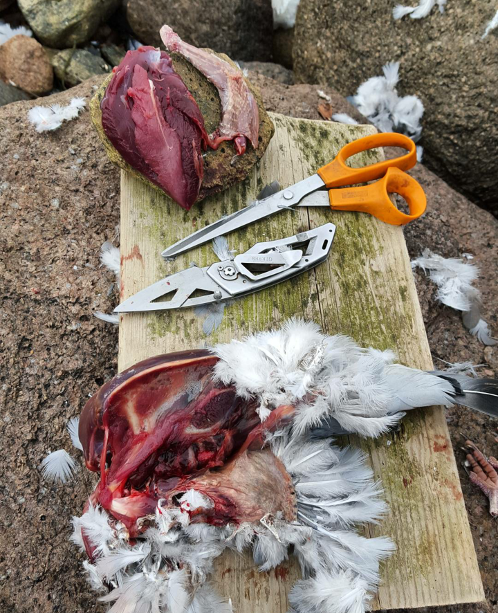 Screenshot_2016-04-04-18-38-09-1