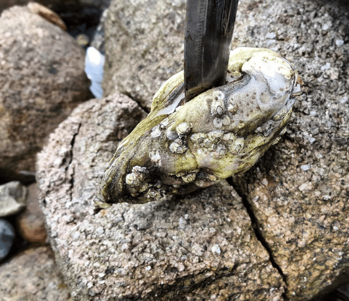 Screenshot_2016-04-04-18-41-02-1