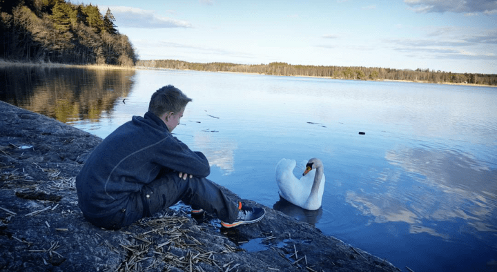 Screenshot_2016-04-12-18-48-38-1