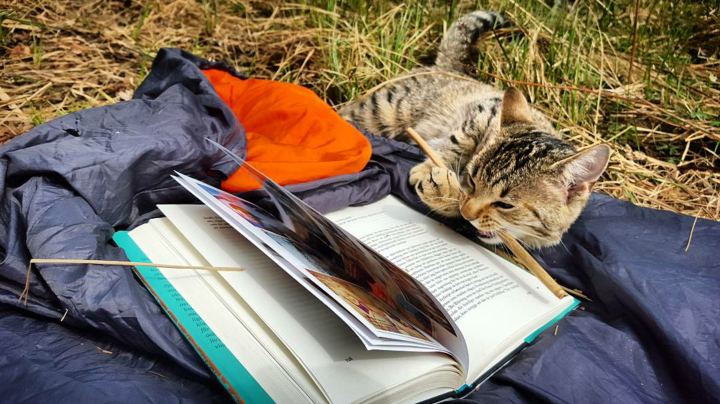 Screenshot_2016-04-26-16-16-37-1