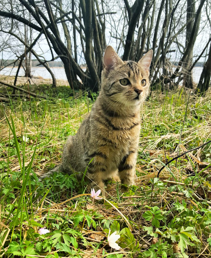 Screenshot_2016-04-26-16-26-37-1