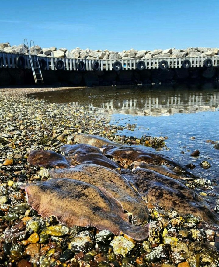 Screenshot_20160518-103829