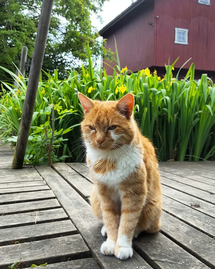 Screenshot_20160607-135058