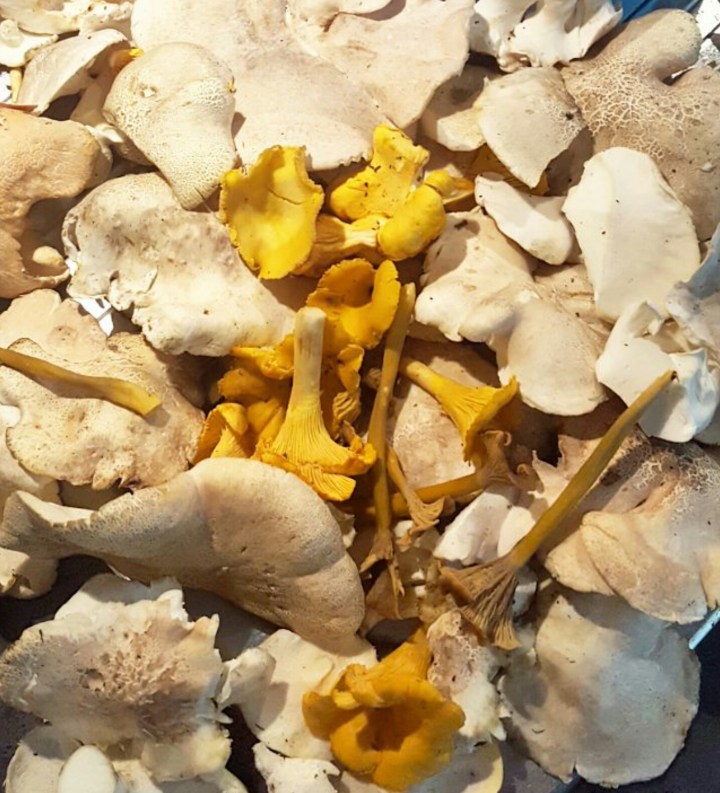 screenshot_20160914-204546